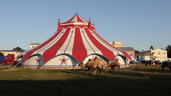 Una acróbata mallorquina muere al caer de un trapecio en un circo en Alemania