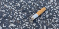 Why litter is more than just an eyesore and ways you can help