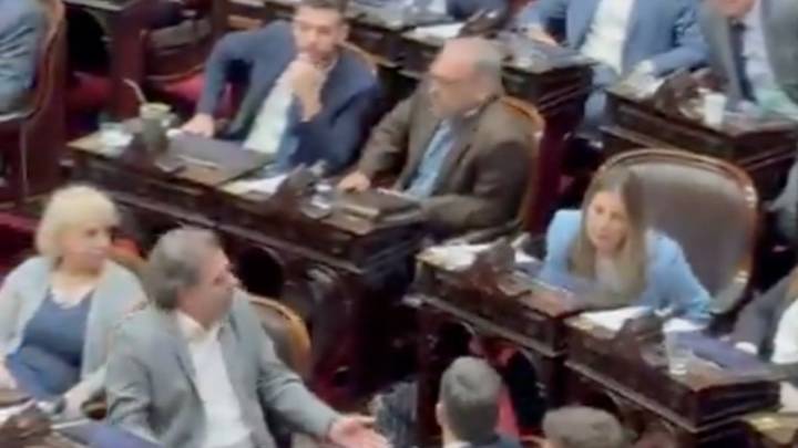Tenso: diputados del PRO cruzaron a Lospennato por votar contra los vetos de Milei