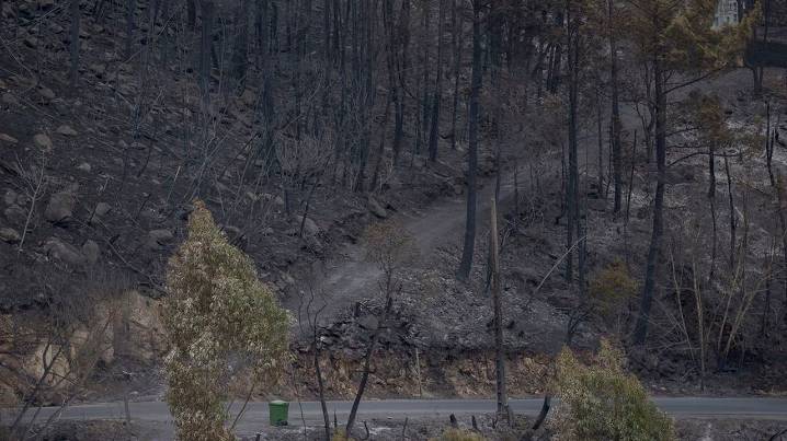 Extinguido por fin en la Ribeira Sacra el último gran incendio del verano en Galicia