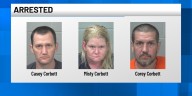 Illicit drugs, guns seized during Carmel arrest
