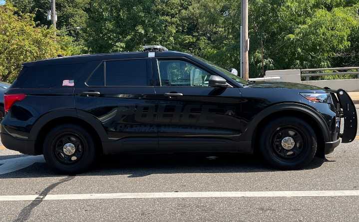 Fraudster claiming to be Elon Musk scams resident: Parma Heights Police Blotter