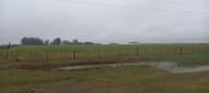 Lluvias normales y temperaturas más cálidas marcarán la primavera en el campo