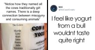 23 Overconfident People Who Got Ridiculed For It Online