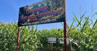 Fall into fun: Hathaway Farm & Corn Maze is autumn destination