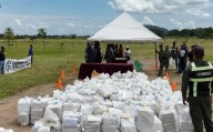 Incineran 2,9 toneladas de drogas en el Amazonas