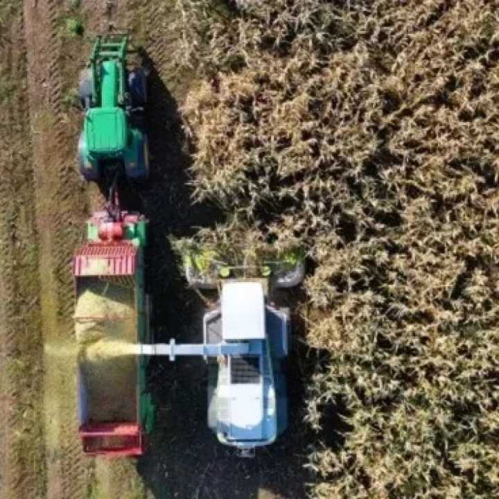 Fin de retenciones cero: productores en alerta, con malestar y dudas sobre el precio de la soja en el mercado local