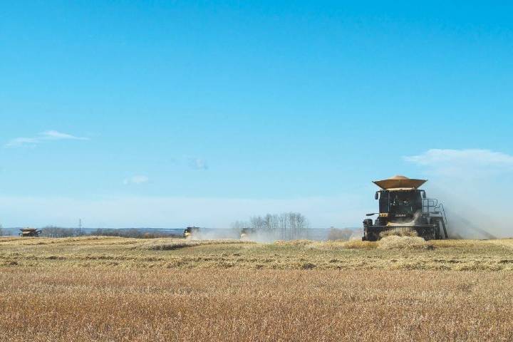 Ponoka Community Growing Project prepares for 27th harvest