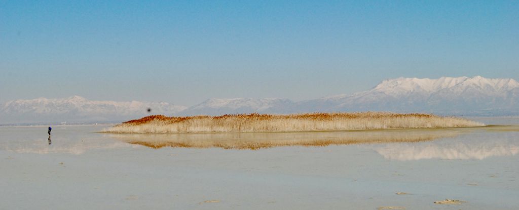 Strange Living Islands Have Appeared on The Great Salt Lake, And Now We Know Why