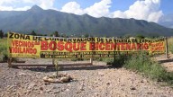 Rescatan vecinos bosque arrasado; plantan 80 árboles en Parque Bicentenario