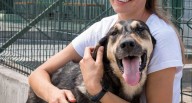 Día Mundial del Perro Adoptado: cinco beneficios que transforman vidas