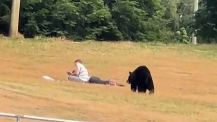 Trap set for picnic-stealing black bear in Burnaby following viral video