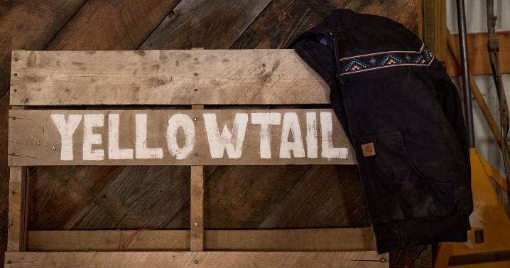 Local Native clothing designer Bethany Yellowtail partners with Carhartt
