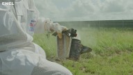 Buzzing with purpose: Solar farm partnership heals veterans through beekeeping