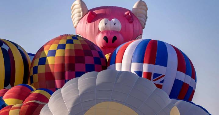 For sale: The world’s largest flying pig