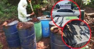 Hallan arsenal, químicos y narcolaboratorios en Sinaloa: autoridades desmantelan campamento clandestino en cuatro municipios
