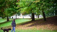 Comienza el otoño en Galicia con lluvias que seguirán hasta principios de octubre