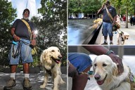 Former NYC soldier, 9/11 first responder dealing with horror of attacks thanks to new service dog