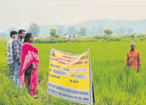 Organic farming opens new chapter in Sundargarh