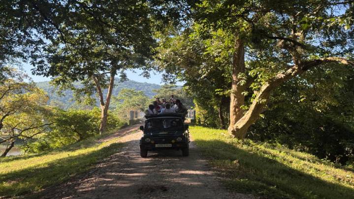 2025-26 bilsio songrebagiparangna Kaziranga National Park