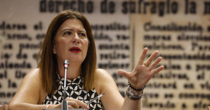 Leire Díez se presenta como «víctima» en el Senado y desvincula al PSOE de sus manejos