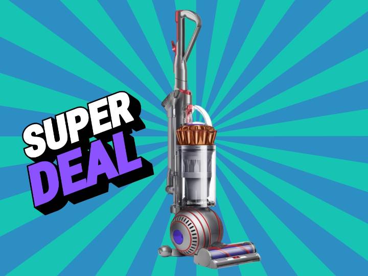 Dyson Ball Animal 3: Target's best vacuum deal at half the price of cordless models