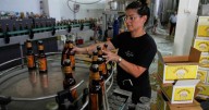 Palestinian beer defies the odds and goes on sale in Britain with help from Scottish brewer