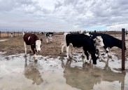 El refrán de las cabañuelas anuncia lo que nos espera esta semana: «En septiembre no hay viejo que...»