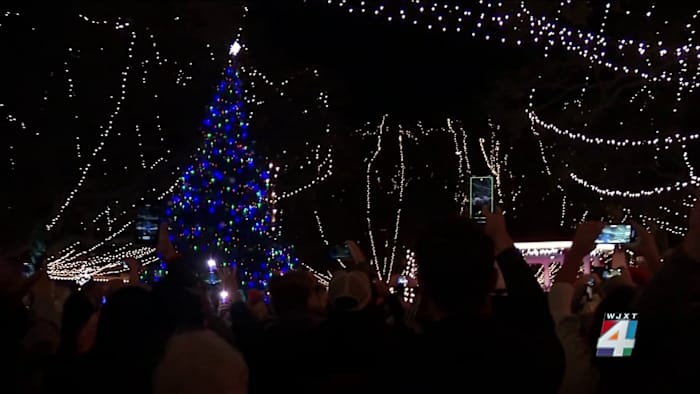 St. Johns County commissioner proposes task force ahead of wildly popular Nights of Lights festival