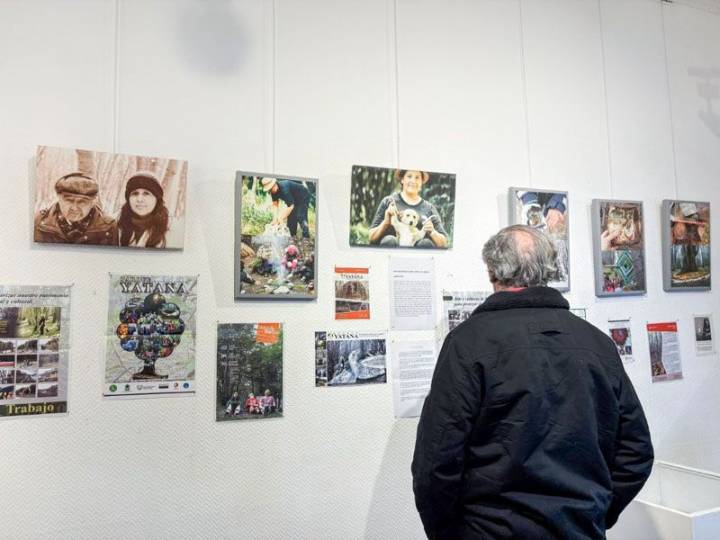 Exhiben ‘21 Años, Yatana: El Bosque del Arte’