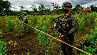 Colombia es declarada como Estado que “no coopera” en la guerra contra las drogas