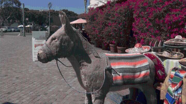 Family fights to save Olvera Street’s iconic donkey stand as trial looms