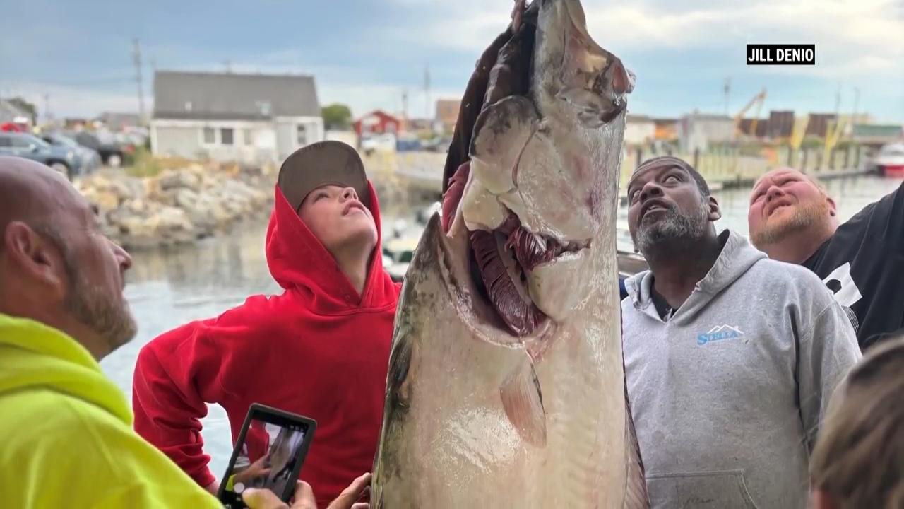 New Hampshire boy, 13, reels in 177-pound halibut while deep-sea fishing that may be a world record