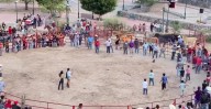 Tres vinculados a proceso por maltrato de gatos en Xichú; asociación exige sanciones severas