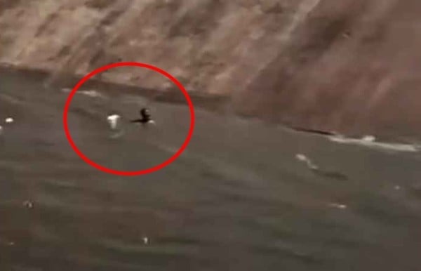 Video.- Hombre es arrastrado por la corriente del Chuvíscar