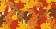 Prove you have 'eyes of a hunter' by spotting fox in pile of autumn leaves