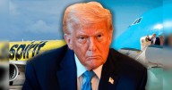 Vuelo de Spirit Airlines es advertido por acercarse al Air Force One rumbo al Reino Unido