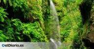 Entre cráteres y laurisilva: un viaje de contrastes por la isla de La Palma
