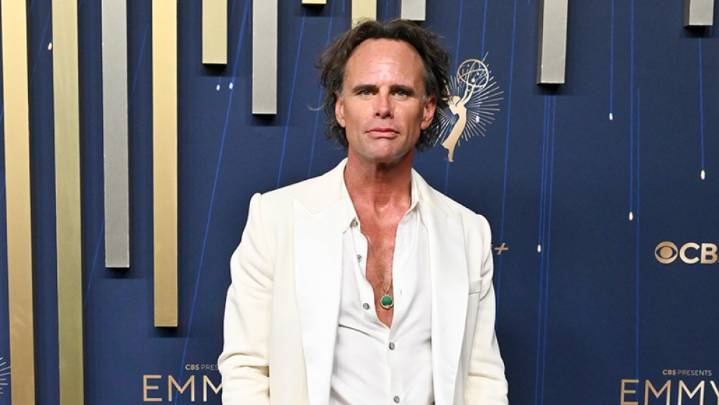 Emmy Awards Red Carpet 2025 Photos