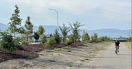 New trees and shrubs spruce up Rail Trail's drab stretch