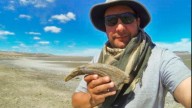 Descubren un nuevo dinosaurio en Argentina