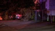 How suspect was caught after local pursuit, crash into home:OSHP