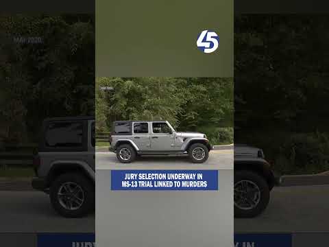 Jury selection underway in MS-13 trial linked to murders, fatal stabbing 16