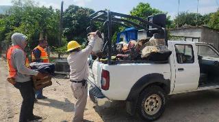 Oaxaca suma seis casos nuevos de dengue