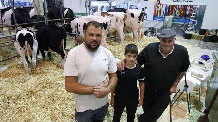 Los últimos preparativos de Agropec para su gran apertura en el recinto Luis Adaro de Gijón: "Es la fiesta de la ganadería"