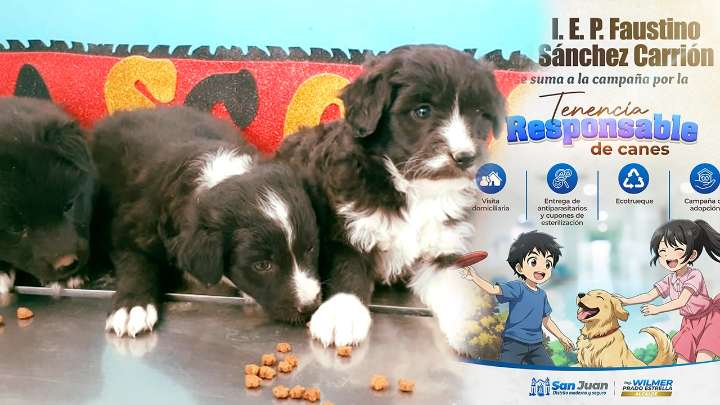 Escolares de San Juan Bautista sensibilizan casa por casa sobre cuidado y adopción de perros callejeros