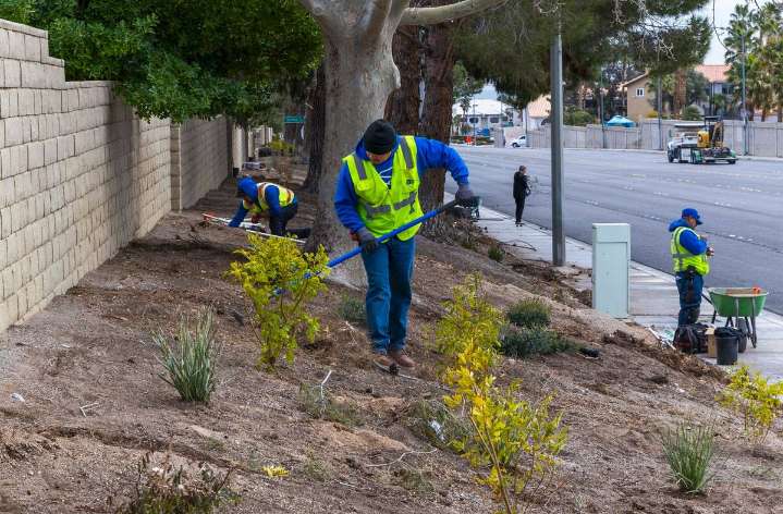 Las Vegas homeowners offered increased rebate to replace grass