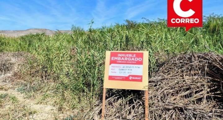 Ica: SUNAT anuncia tercer remate de inmuebles por más de 472 mil soles