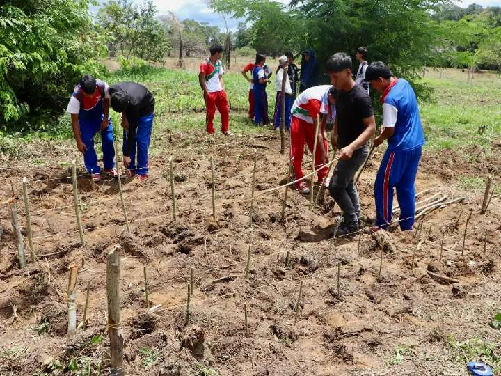 Jóvenes rurales del Caquetá siembran esperanza