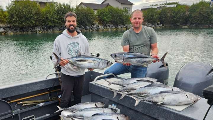 Brief tuna bounty in Southeast Alaska spurs excitement about new fishing opportunity
